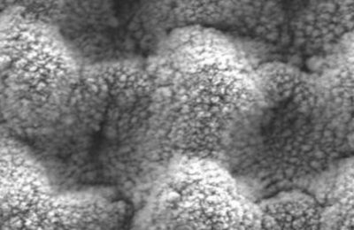 Stainless steel surface microstructring with femtosecond laser