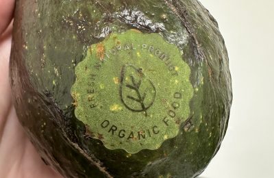 avocadologo